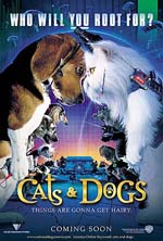 Cats & Dogs - Kitty 2D